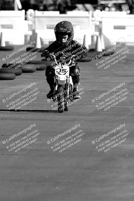 media/Nov-06-2022-SoCal Trackdays (Sun) [[208d2ccc26]]/Around the Pits/